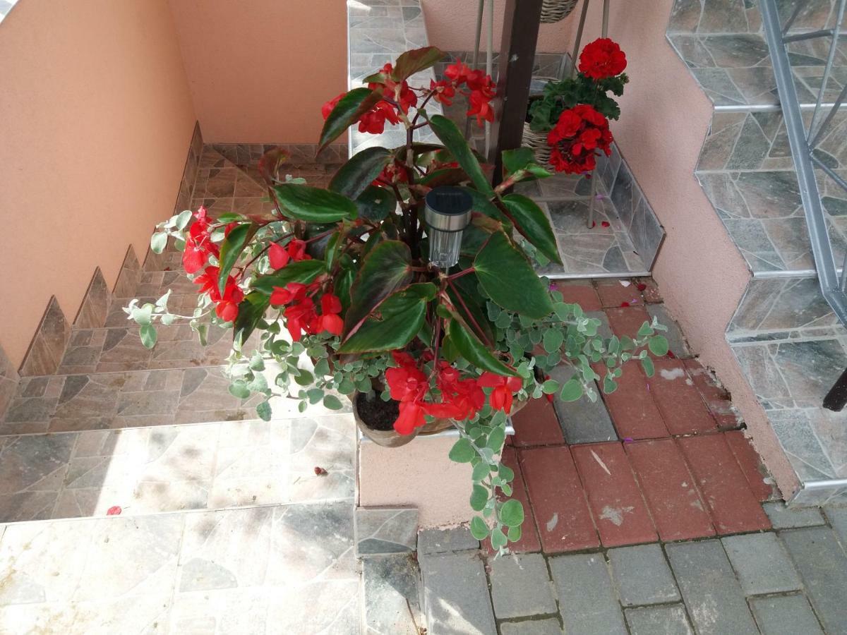 Hotel Beata Vendeghaz Tokaj Exteriér fotografie